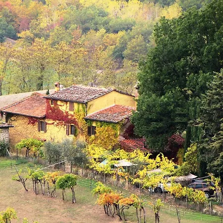 Le Due Volpi Vicchio