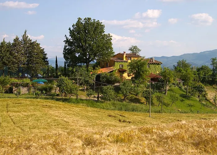 Le Due Volpi 4* Vicchio