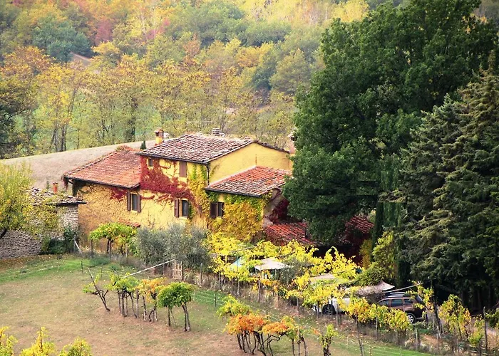 Le Due Volpi Vicchio