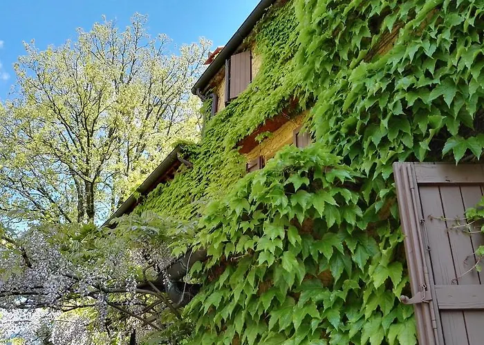 Oda ve Kahvaltı Le Due Volpi Vicchio