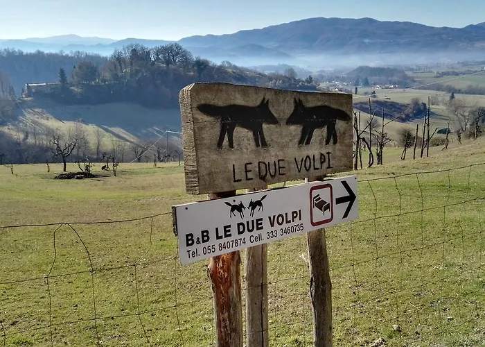 Oda ve Kahvaltı Le Due Volpi 4*