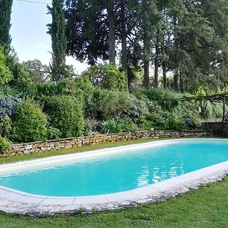 Le Due Volpi Vicchio