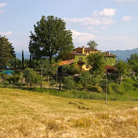 Le Due Volpi 4* Vicchio