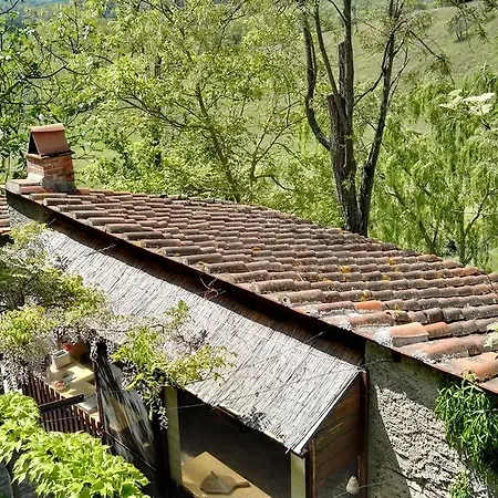 Le Due Volpi 4* Vicchio