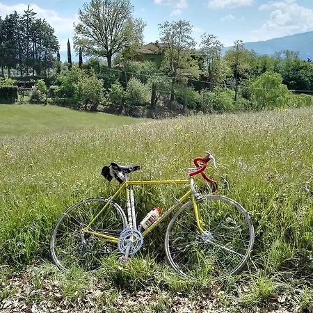 Le Due Volpi Nocleg ze śniadaniem 4*