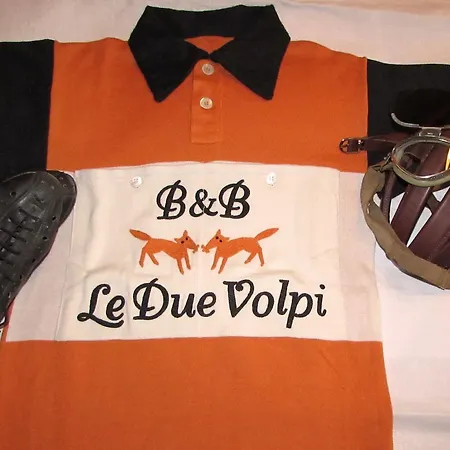 Le Due Volpi