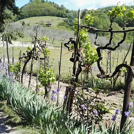 Bed & Breakfast Le Due Volpi 3*