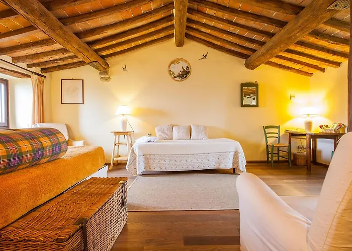 Le Due Volpi Виккьо