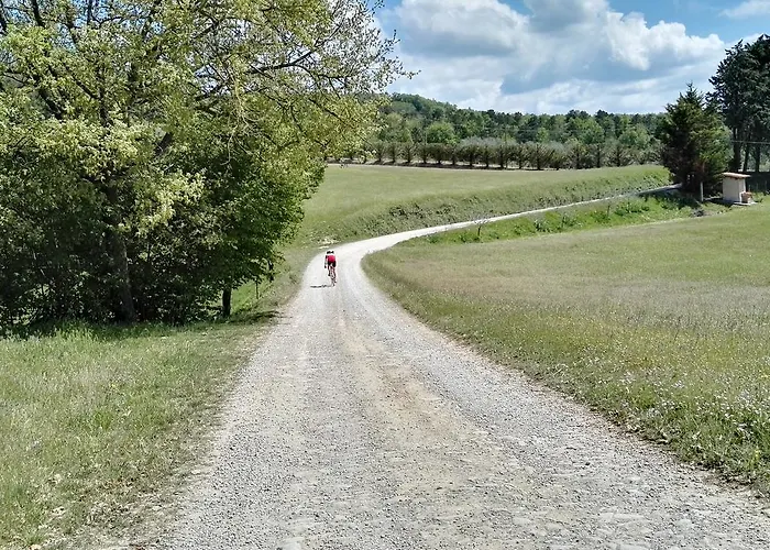Le Due Volpi Виккьо