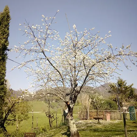 Bed & Breakfast Le Due Volpi 4*