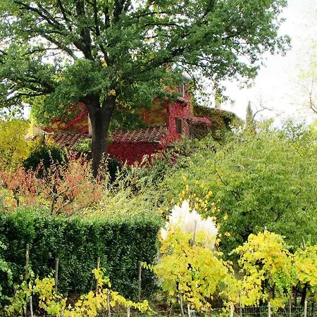 Le Due Volpi Bed & Breakfast