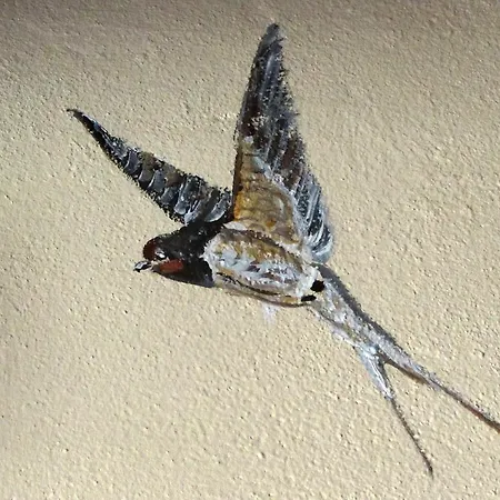 Bed & Breakfast Le Due Volpi 4*