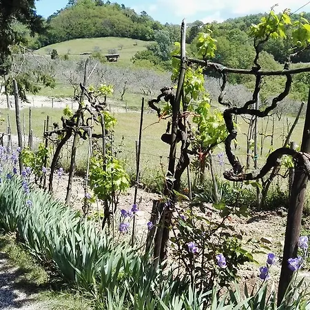 Bed & Breakfast Le Due Volpi 4*